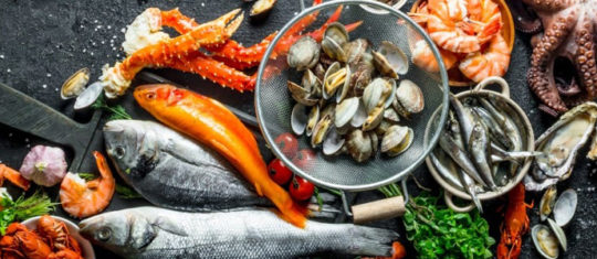 poissons et fruits de mer
