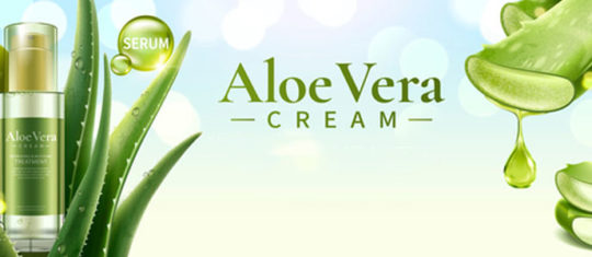 Produits à base d'aloé vera