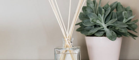 Comment choisir son diffuseur de parfum avec bâton