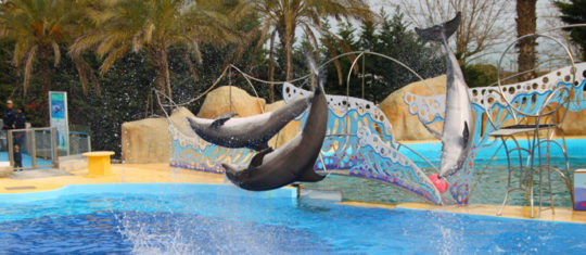 Loisirs aquatiques