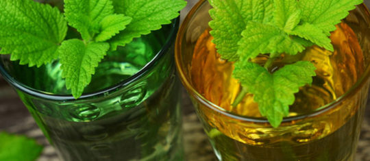 réussir votre mojito