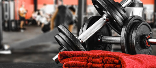 Musculation et fitness