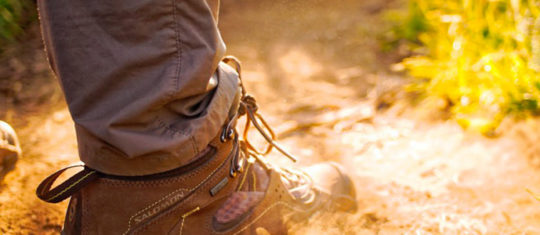 chaussures de trekking