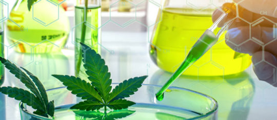 CBD medical