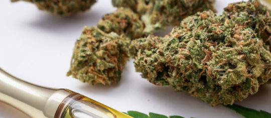 Fleur CBD