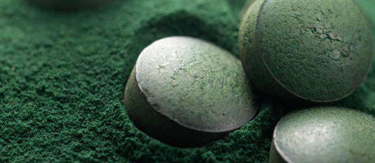 spiruline